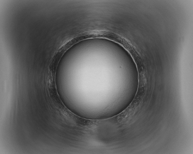 X0000116321158200912091013