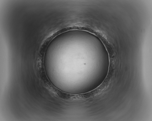 X0000116321159200912091013