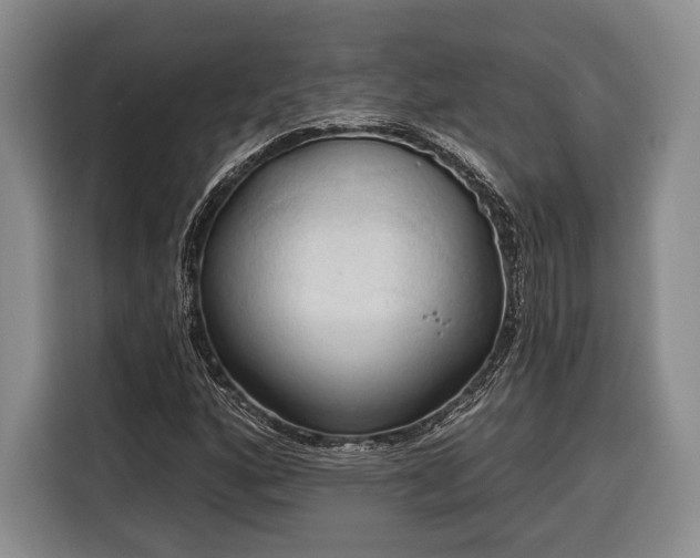 X0000116321160200912091013