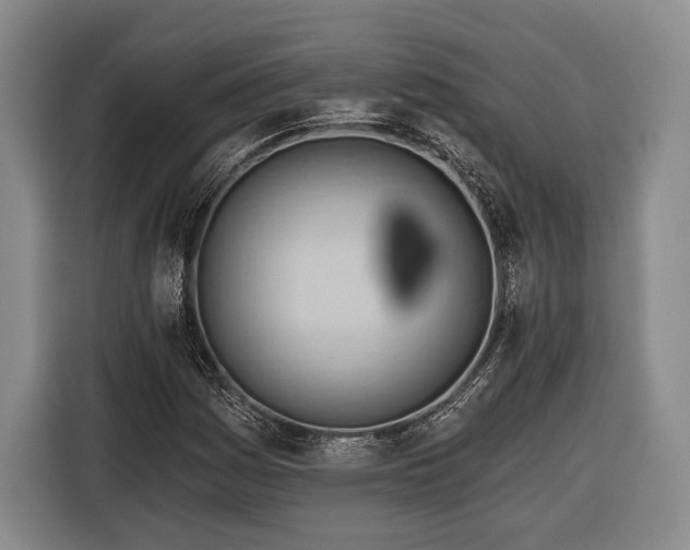 X0000116321161200912091013