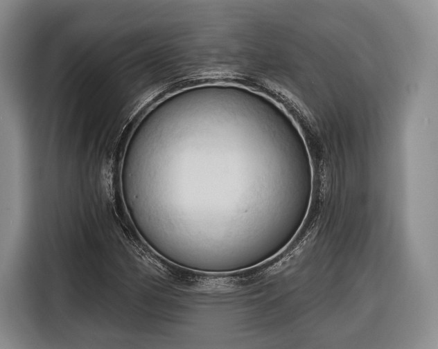 X0000116321162200912091013