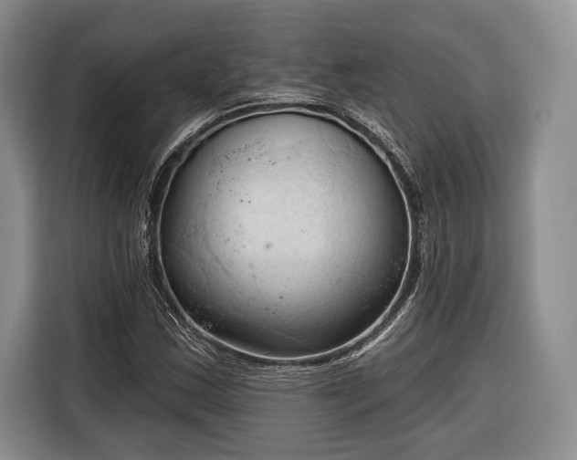 X0000116321163200912091013