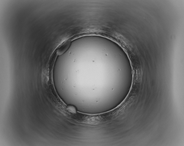 X0000116321165200912091013