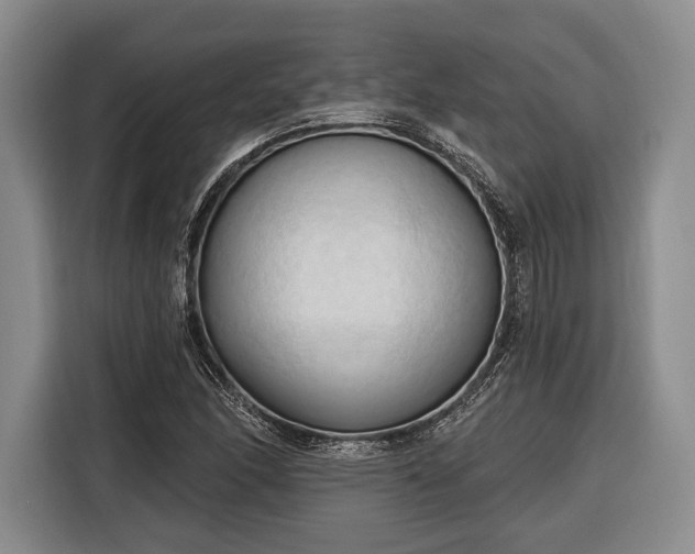 X0000116321166200912091013