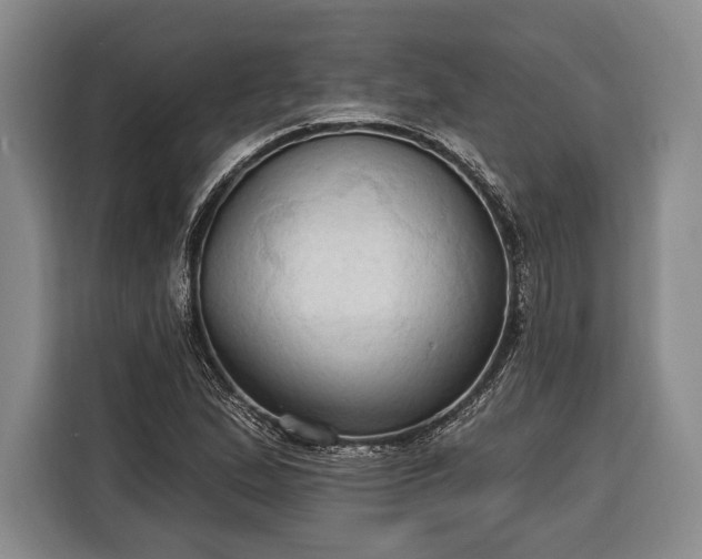 X0000116321167200912091013