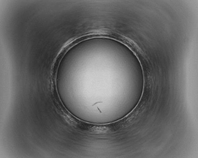 X0000116321168200912091013