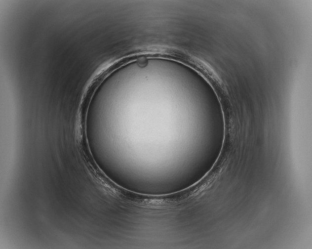 X0000116321172200912091013