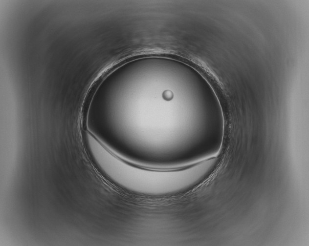 X0000116321173200912091013