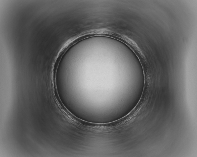 X0000116321176200912091013