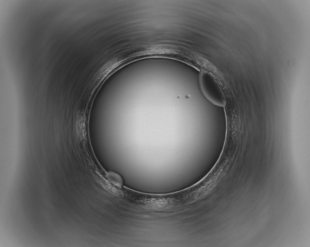 X0000116321177200912091013