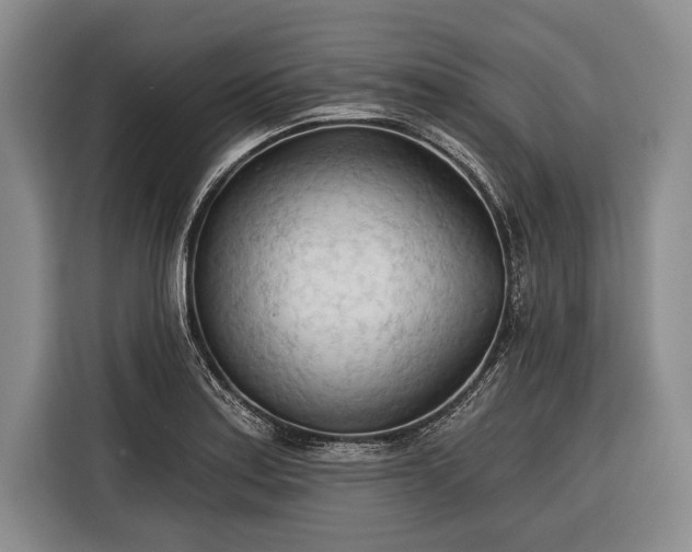 X0000116321179200912091013