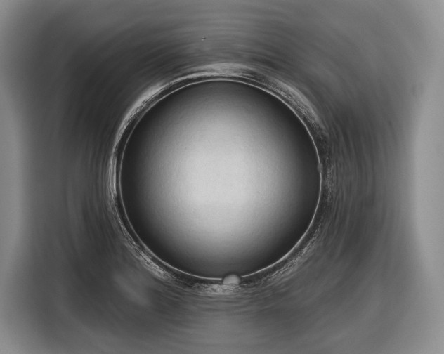 X0000116321180200912091013