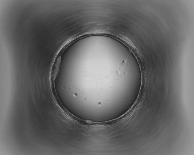 X0000116321181200912091013