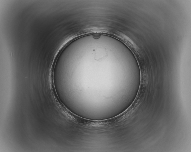 X0000116321182200912091013