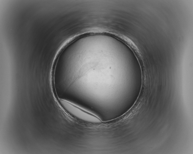 X0000116321183200912091013