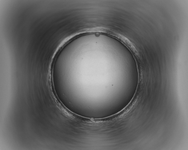 X0000116321184200912091013