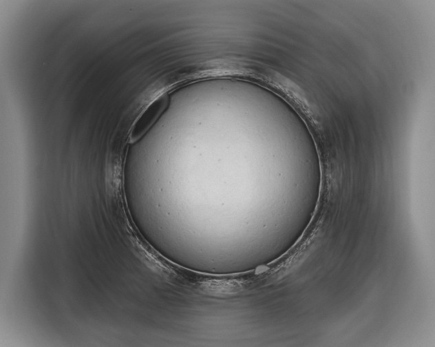 X0000116321185200912091013