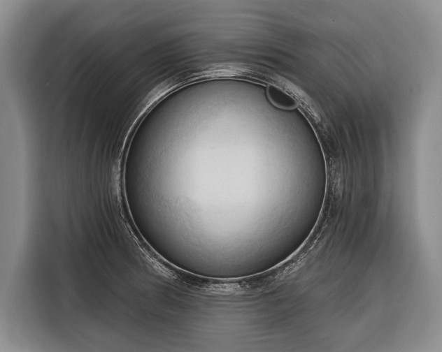 X0000116321186200912091013