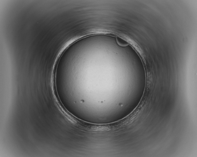 X0000116321187200912091013