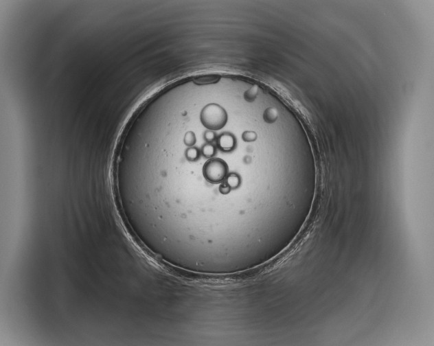 X0000116321189200912091013