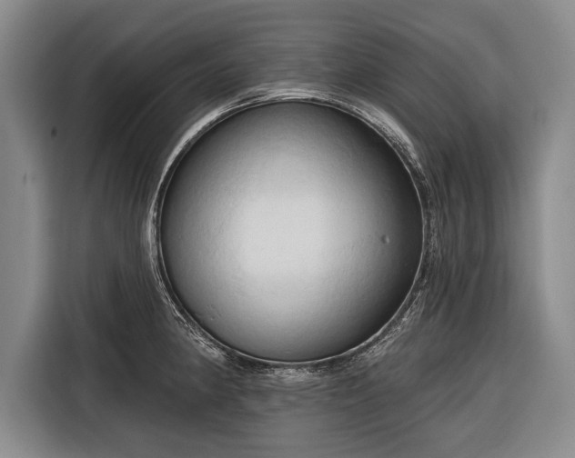 X0000116321190200912091013