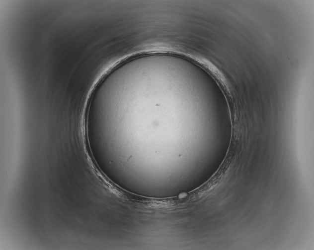 X0000116321191200912091013