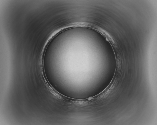 X0000116321192200912091013