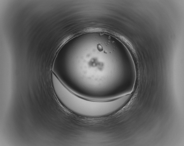 X0000116321193200912091013