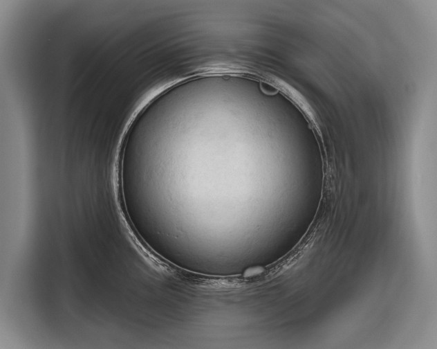 X0000116321195200912091013