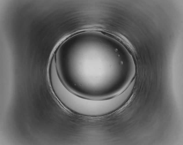 X0000116321196200912091013