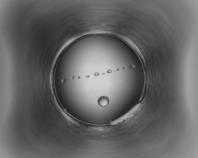 X0000116321197200912091013