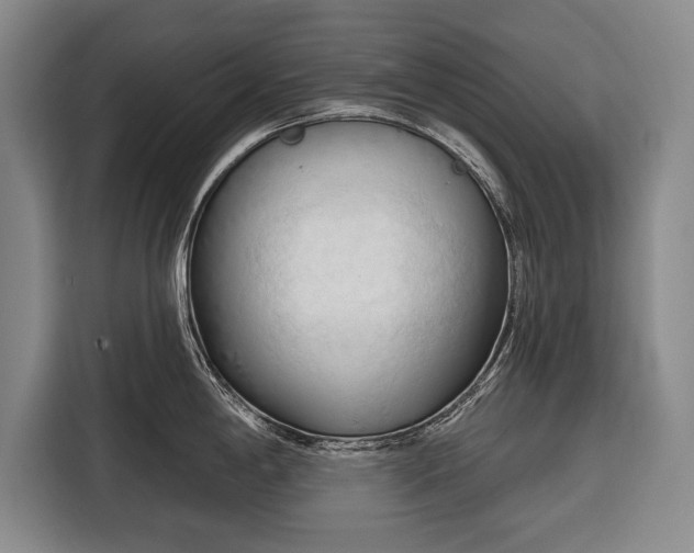 X0000116321198200912091013