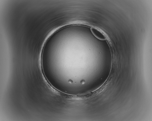 X0000116321199200912091013