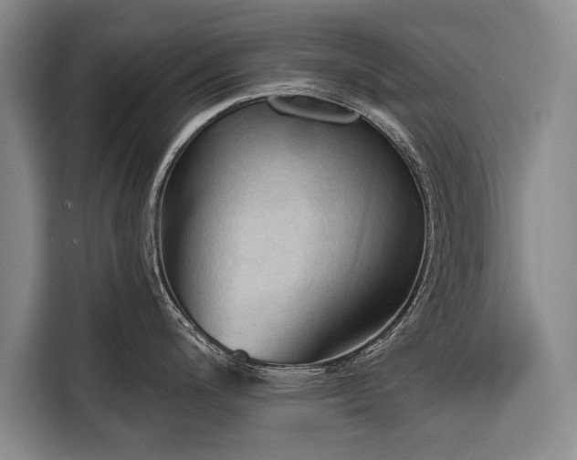 X0000116321200200912091013