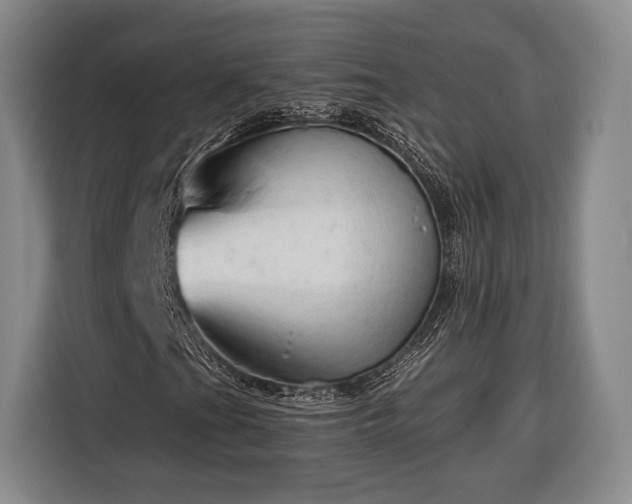 X0000116321201200912091012