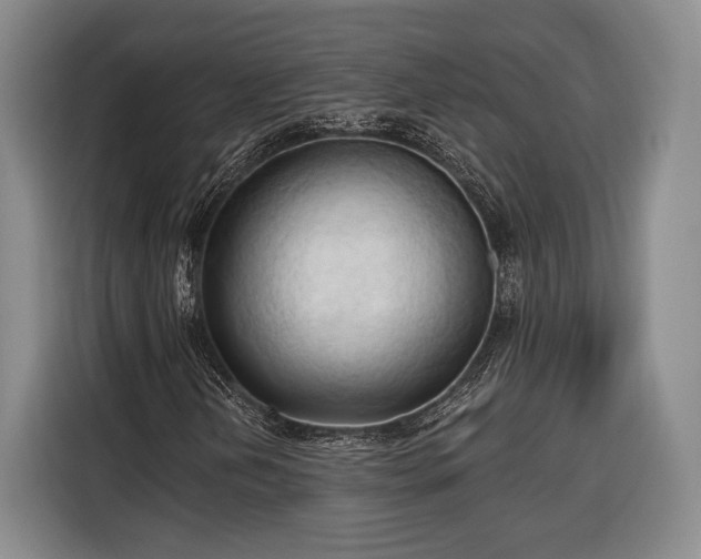 X0000116321202200912091012