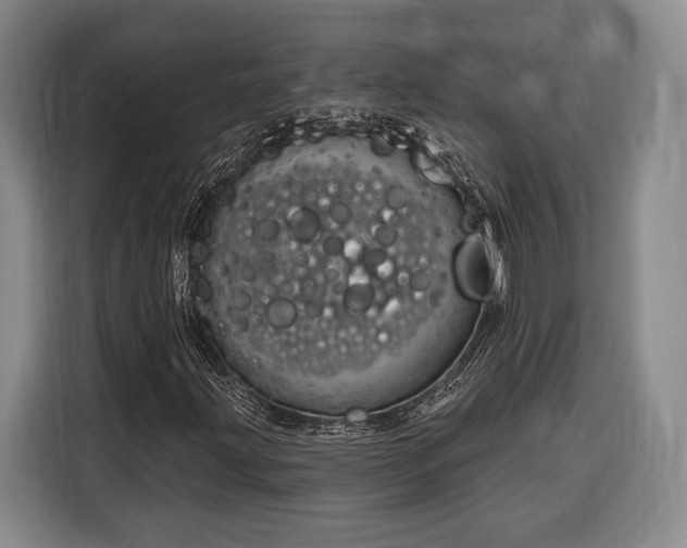 X0000116321203200912091012