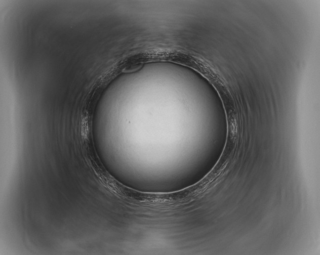 X0000116321204200912091012