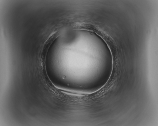 X0000116321206200912091012