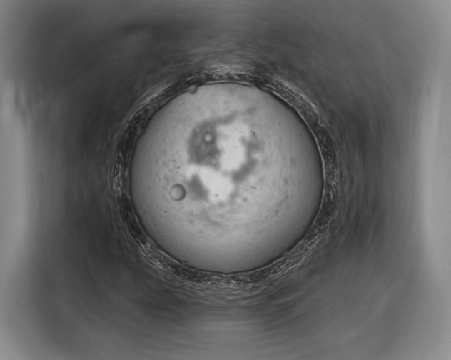 X0000116321207200912091012