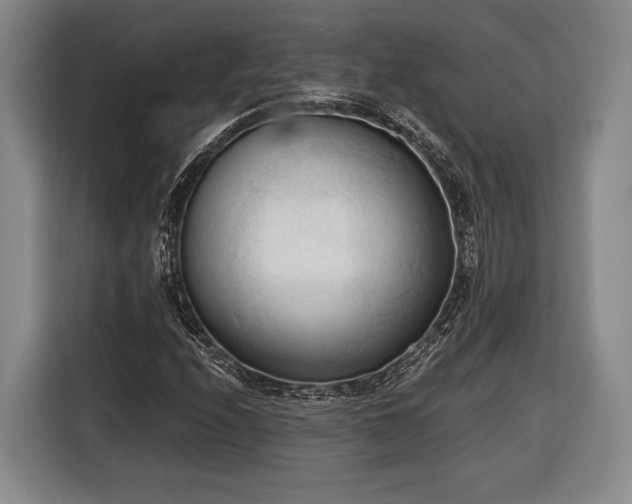 X0000116321208200912091012