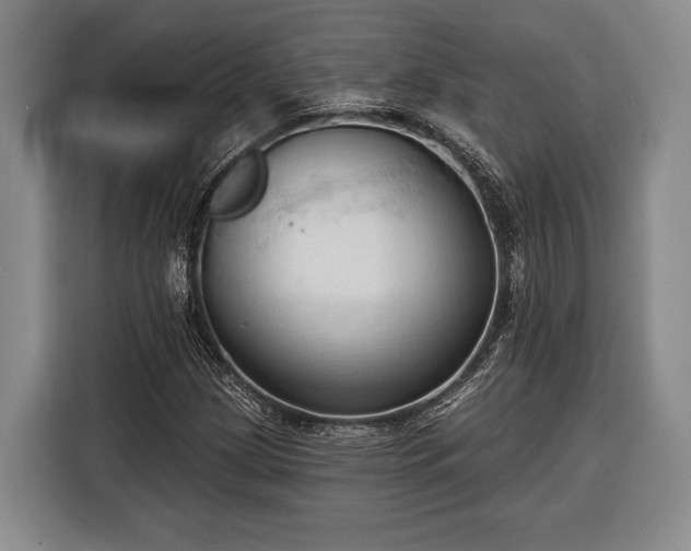 X0000116321209200912091012