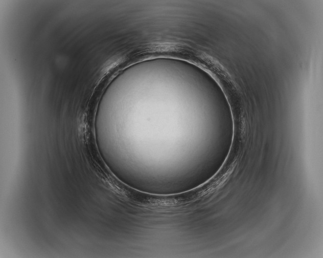 X0000116321210200912091012