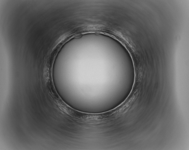 X0000116321211200912091012