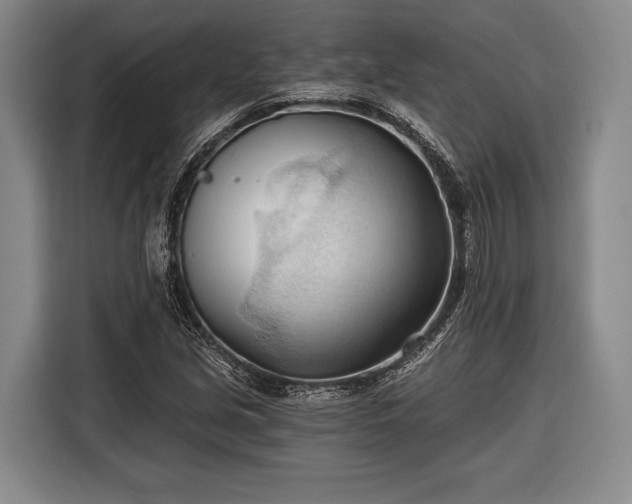 X0000116321213200912091012