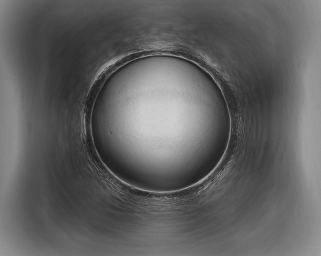 X0000116321214200912091012