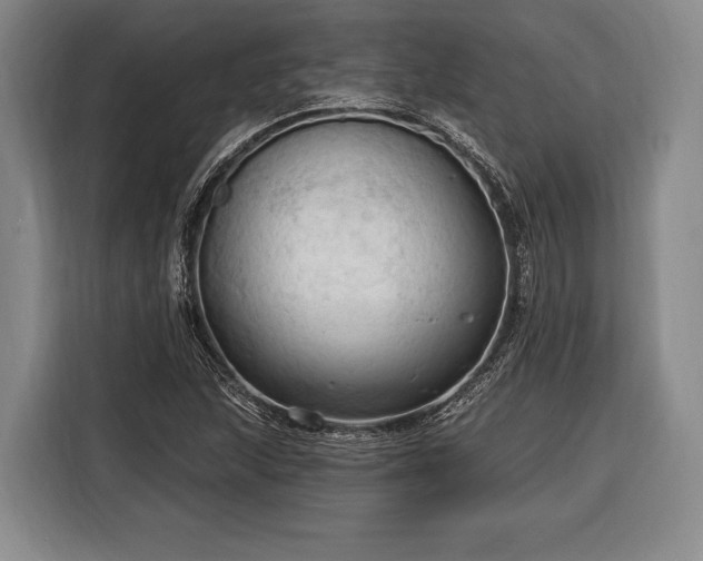 X0000116321215200912091012