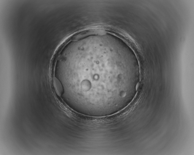 X0000116321216200912091012