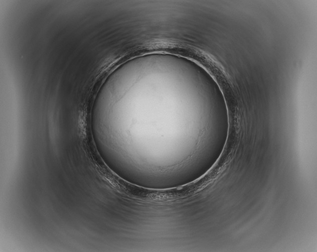 X0000116321217200912091012