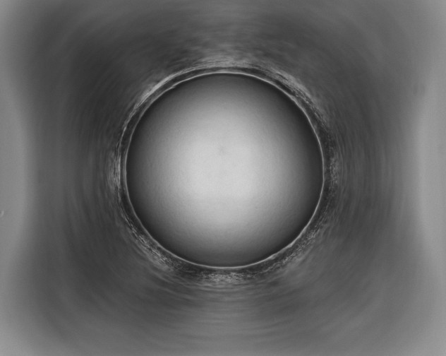 X0000116321220200912091012